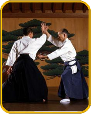 Aikido