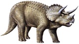 Triceratops-thumb