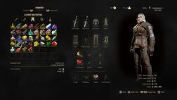 Witcher inventory-100586088-large.idge