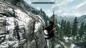 Skyrim-physics-horse