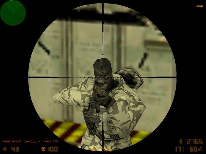 Counter strike head shot