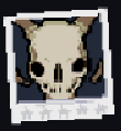 Lich