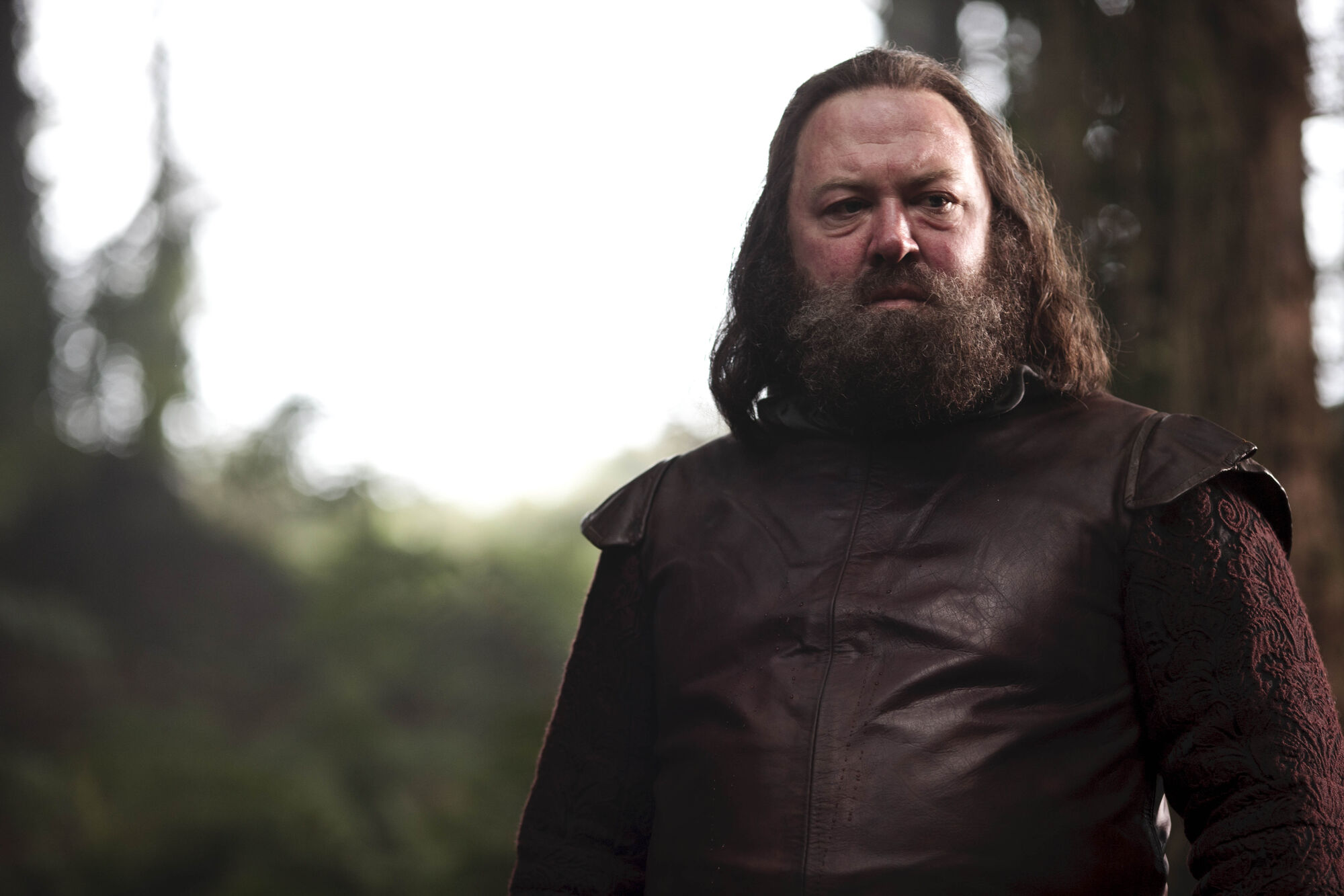 Robert Baratheon Wiki Game of Thrones FANDOM powered by Wikia