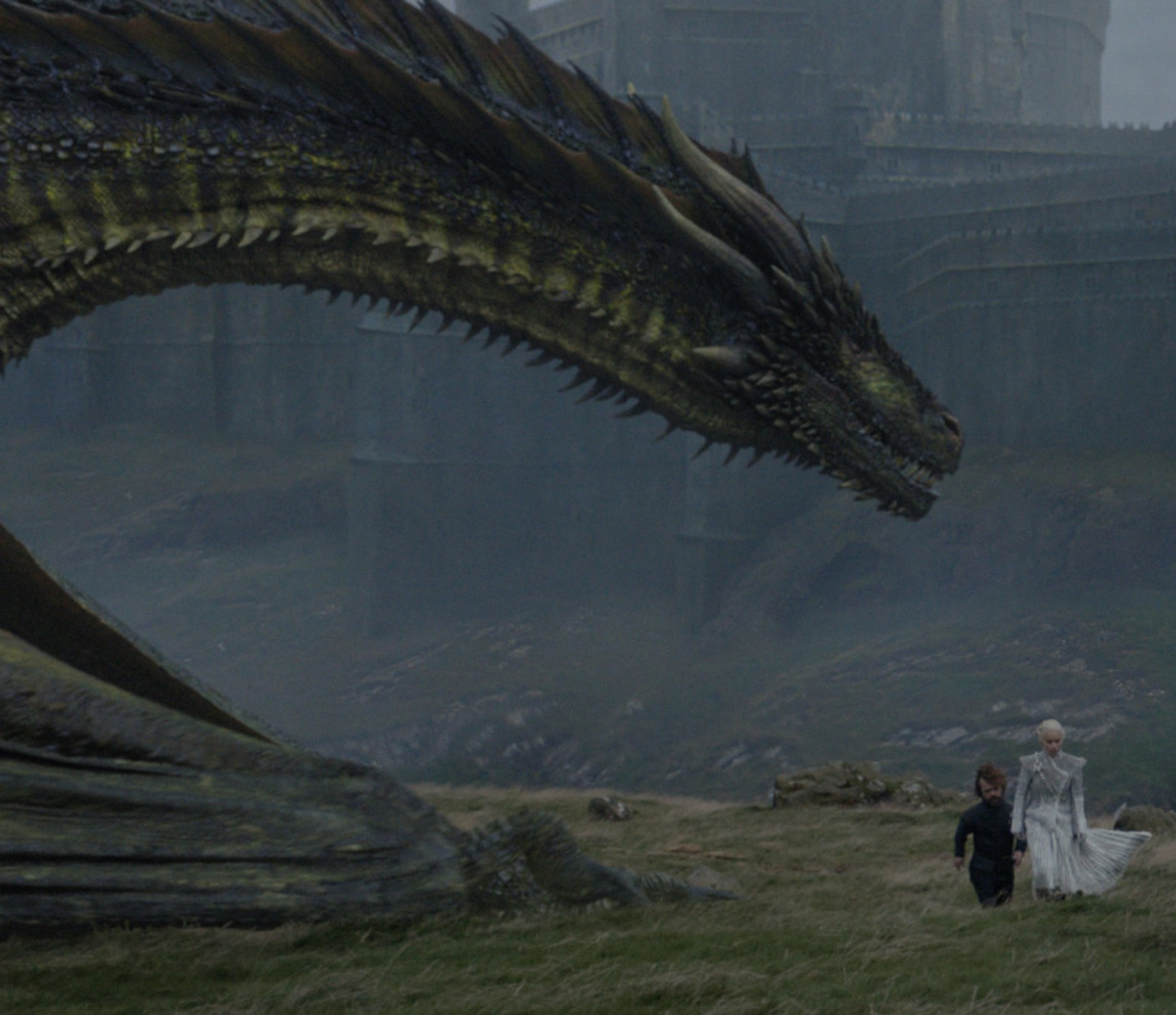 Rhaegal Wiki Game of Thrones FANDOM powered by Wikia