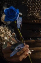 Rose thé