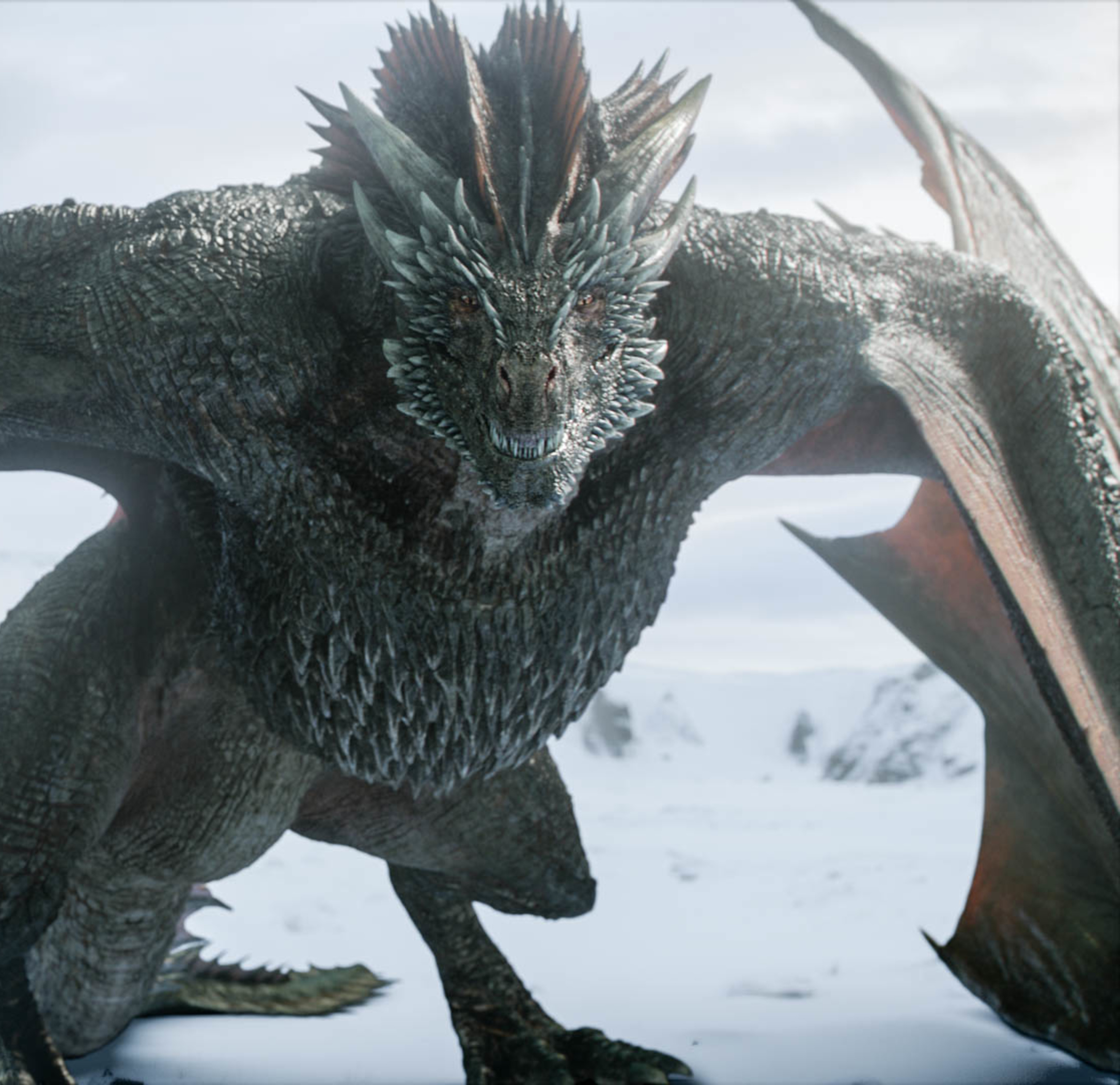 Image - Drogon.png | Wiki Game of Thrones | FANDOM powered by Wikia