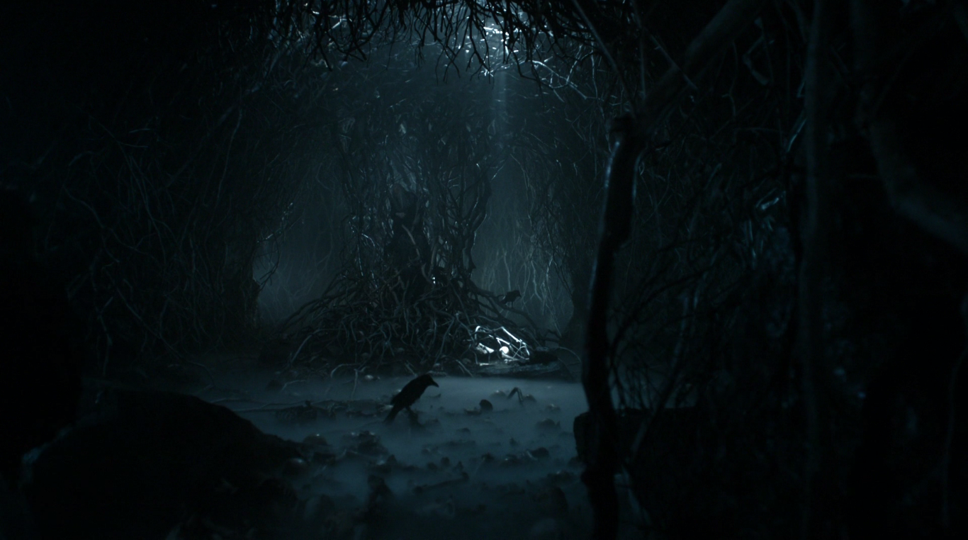 Grotte de la Corneille à trois yeux Wiki Game of Thrones FANDOM powered by Wikia