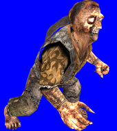 Vamp