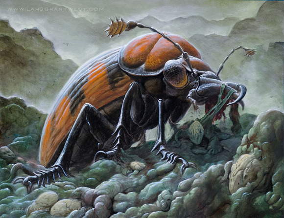 Resultado de imagen de mortician beetle