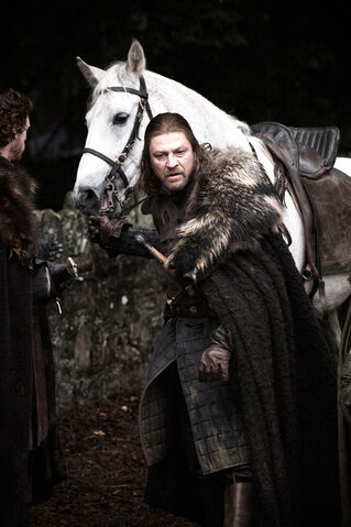 File:Ned & his horse.jpg