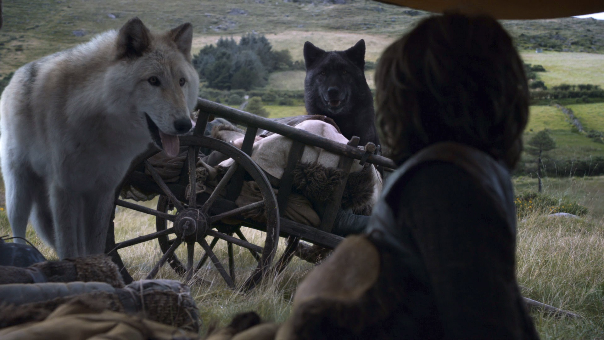 Shadow Wolf Game Of Thrones