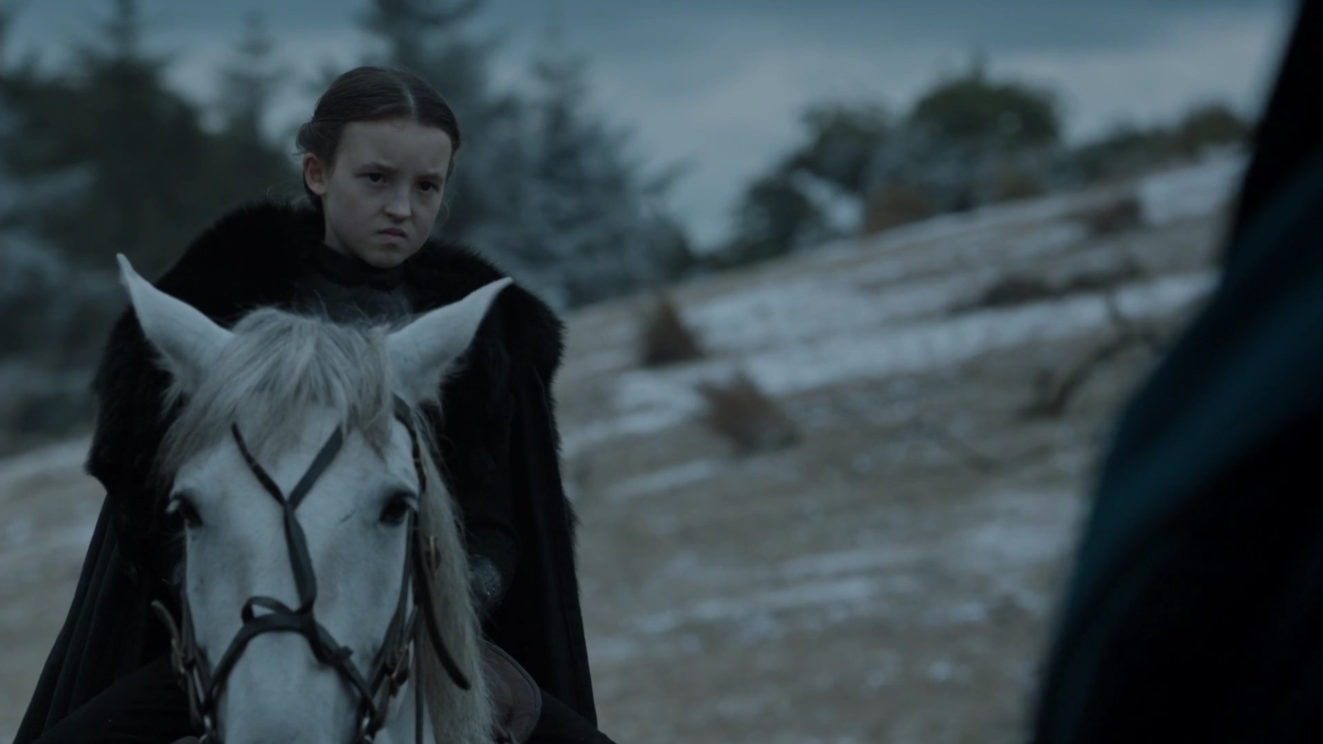 Lyanna Mormont Game Of Thrones Wiki Fandom