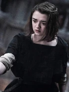 Aryamothersmercy.jpeg (3.58 MB) Aryamothersmercy