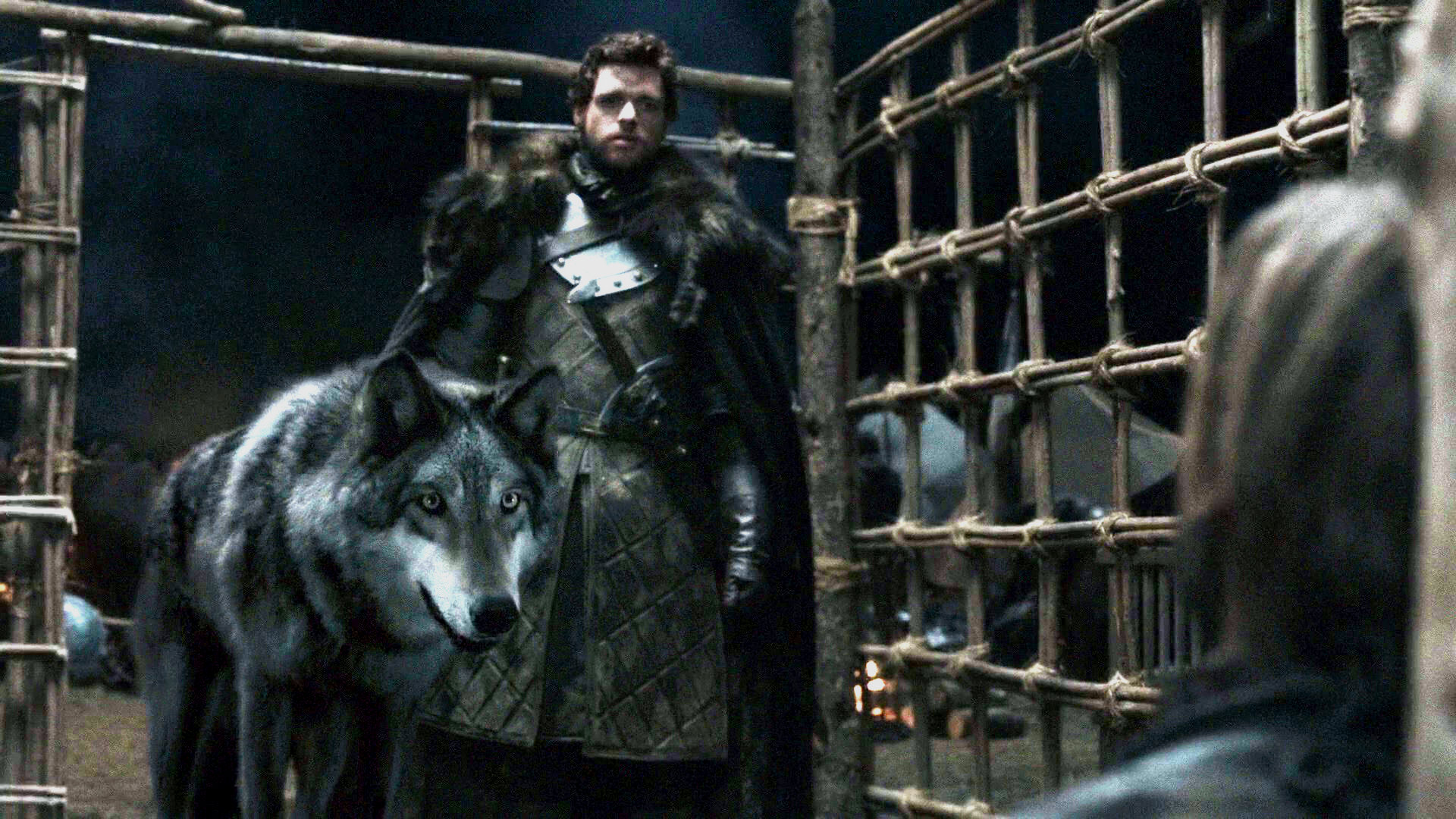 Direwolves Game Of Thrones Wiki Fandom