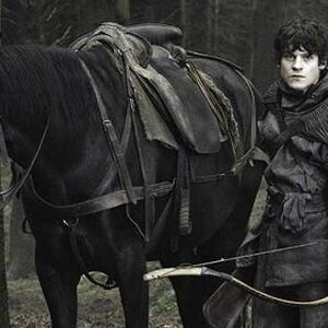 Horses Game Of Thrones Wiki Fandom