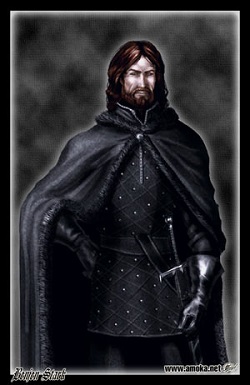 RomanBenjenStark1