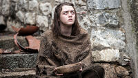Arya cega