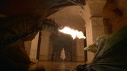 Dragons s 5