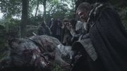 Moder direwolves
