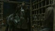 201-robbstark