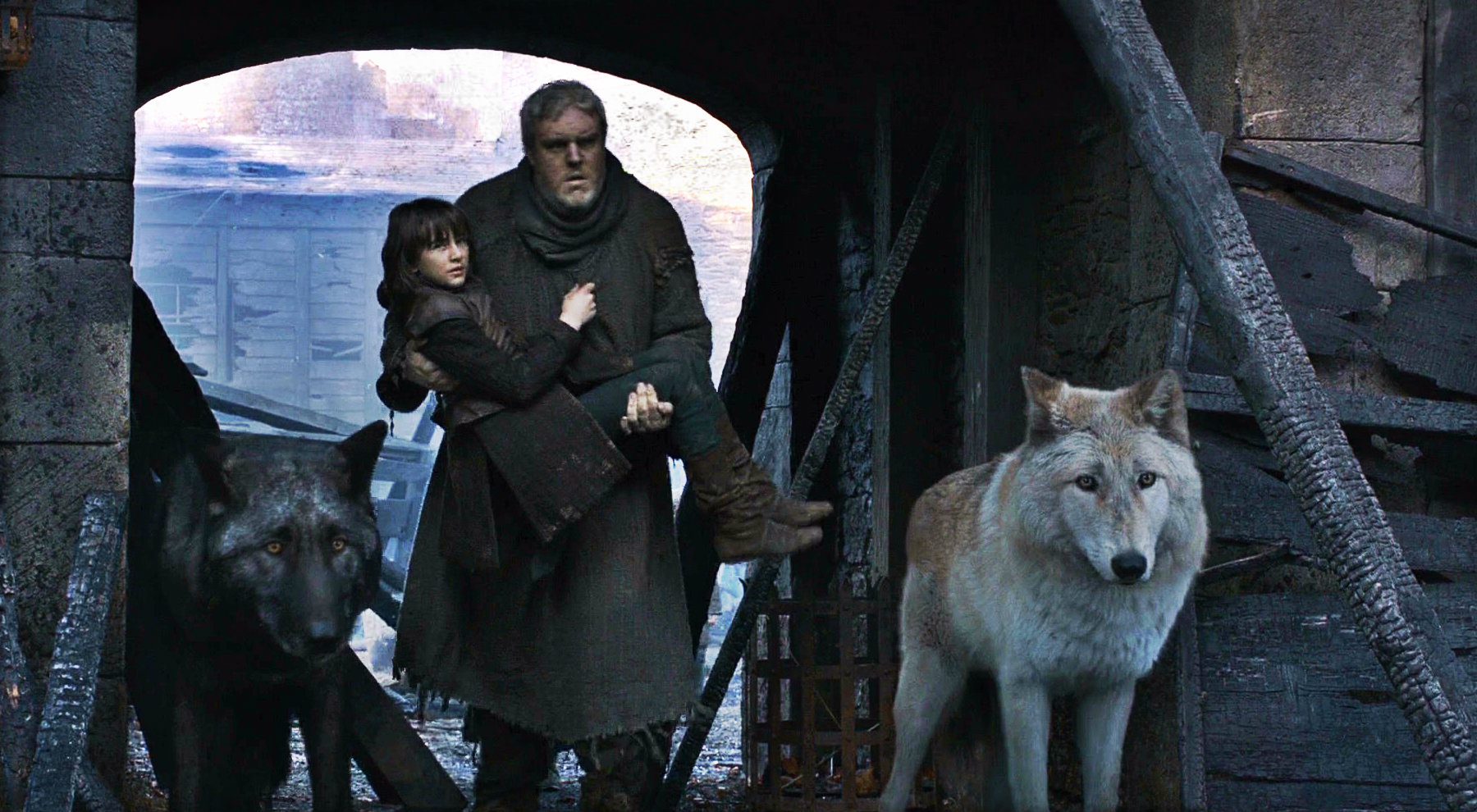 Direwolves Game Of Thrones Wiki Fandom