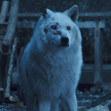 Ghost Game Of Thrones Wiki Fandom