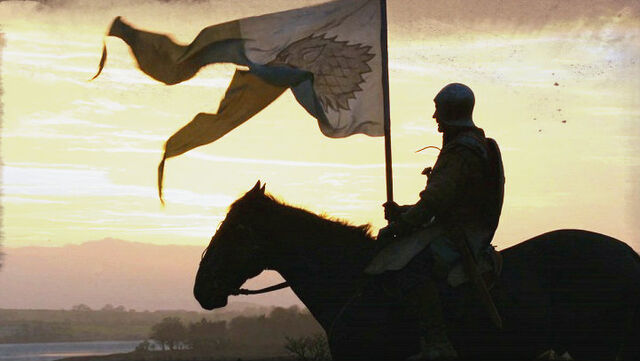 File:Stark standard bearer.jpg