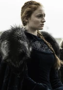 Sansa stark battle of bastards promo season 6