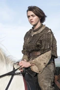 Arya Stark profile Season4.jpg (109 KB) Arya Stark profile Season4