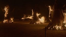 201DerNordenVergisstNichtHerrDesLichts (2)