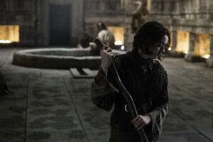503 Arya 01