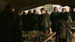 Stark Bannermen