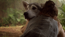 Arya hugging Nymeria