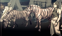 Zorses