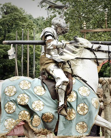 Horses Game Of Thrones Wiki Fandom