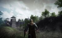 Game of Thrones MMO3