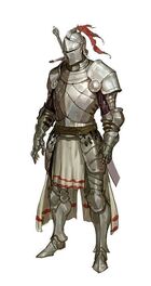 Reachknight