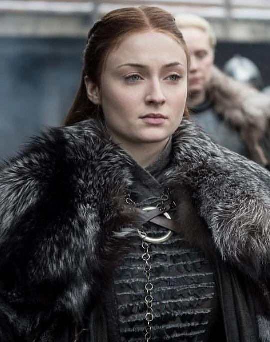 Sansa Stark Got Game Of Thrones Fanon Wiki Fandom
