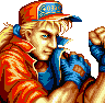 Terry Fatal Fury