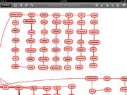 Anima chart