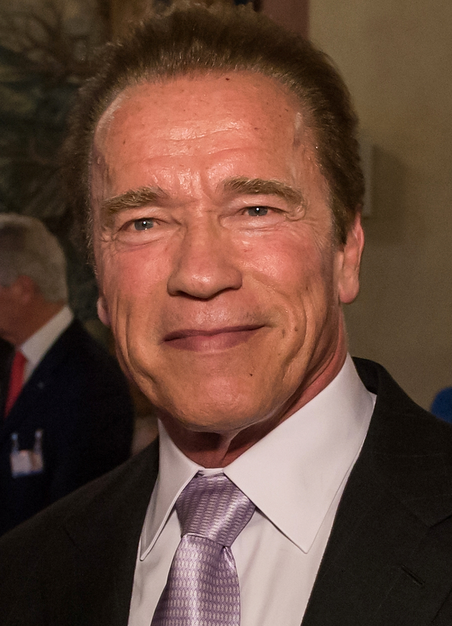 Arnold Schwarzenegger Game Shows Wiki Fandom