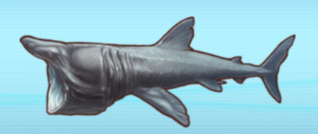 Download Basking Shark | Fishing Superstars Wiki | Fandom
