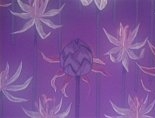 Animusflower