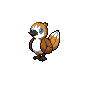 Shiny