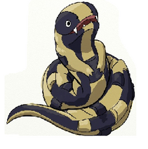 Skink