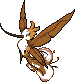 003 Florresum Male shiny