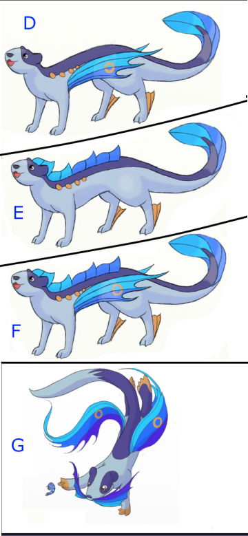 CascottaVariations