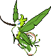 003 Florresum Male