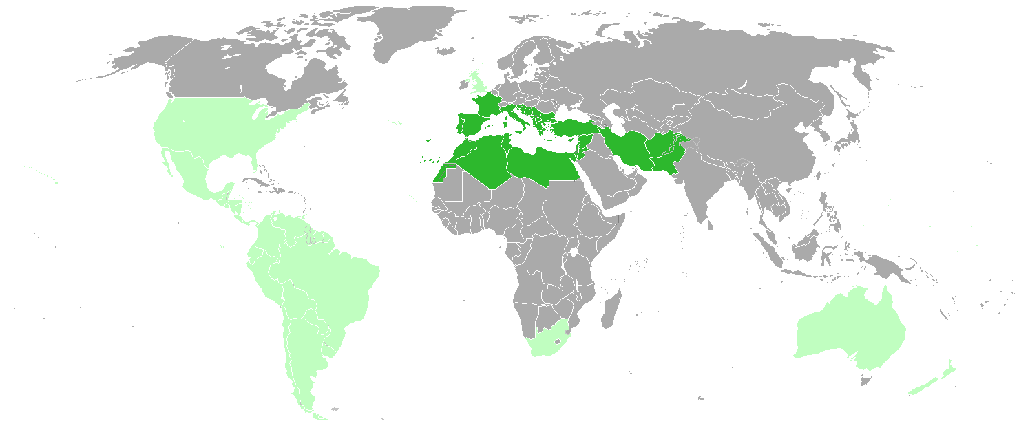 Fennel WikiGardener FANDOM powered by Wikia