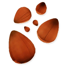 Beetle Feed | Garden Paws Wiki | Fandom